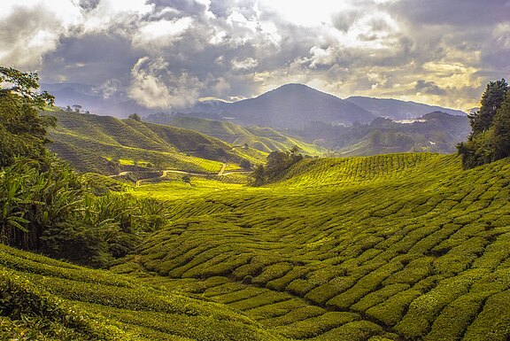 Malerische Landschaften Asiens paul-vincent-roll-c61jL_NpAn8-unsplash.jpg