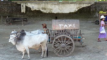 Taxi einmal anders!