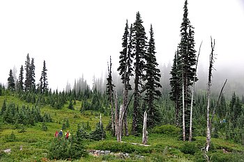 Eine Mischung aus Allgäu und Südtirol