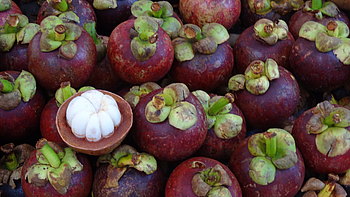 Mangostane