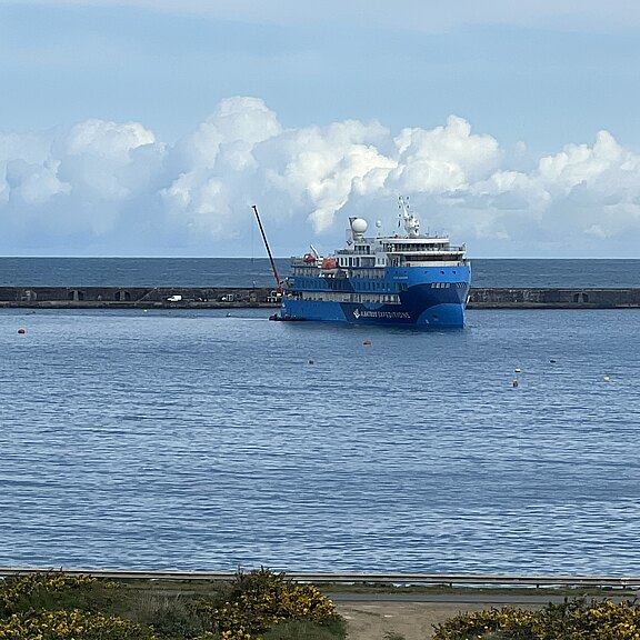 Die Ocean Albatros Die Ocean Albatros
