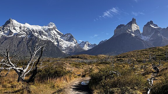 IMG_1196.jpg